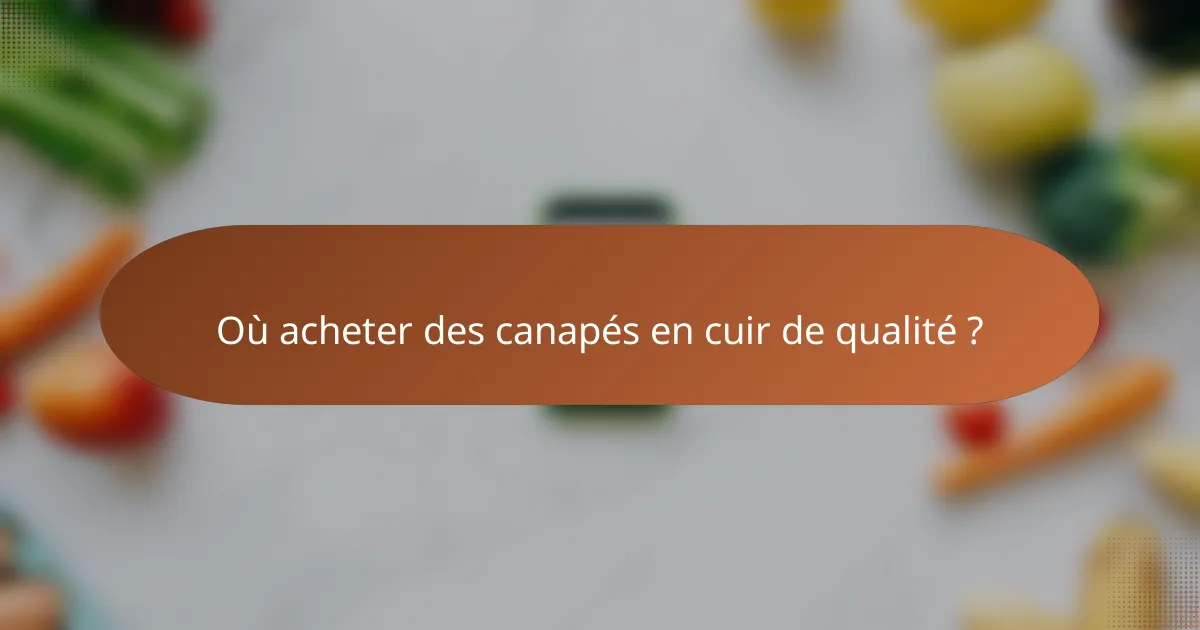 Où acheter des canapés en cuir de qualité ?