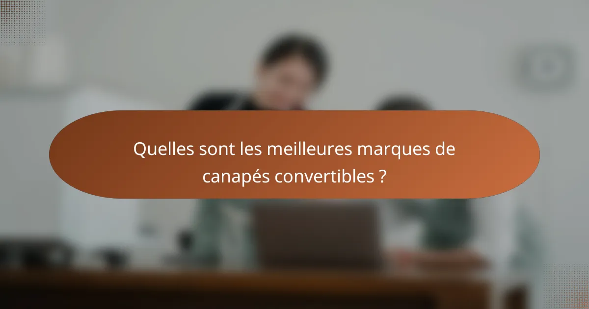 Quelles sont les meilleures marques de canapés convertibles ?