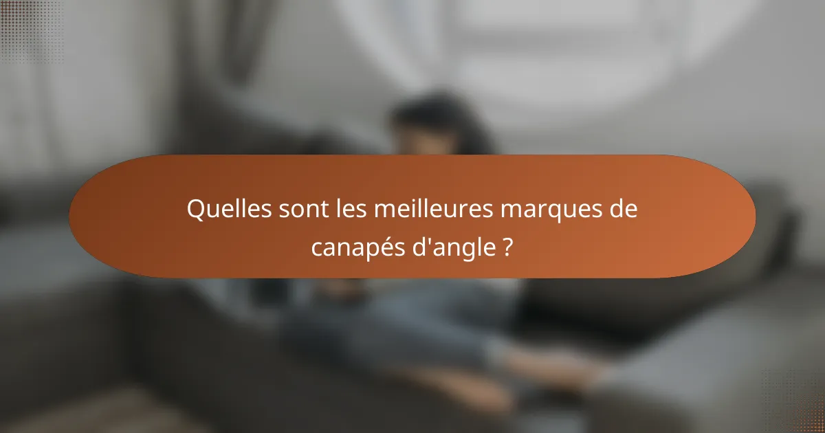 Quelles sont les meilleures marques de canapés d'angle ?