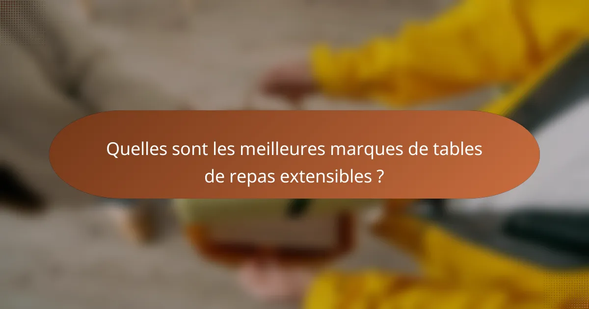 Quelles sont les meilleures marques de tables de repas extensibles ?