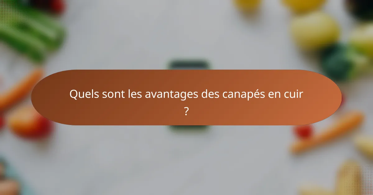 Quels sont les avantages des canapés en cuir ?