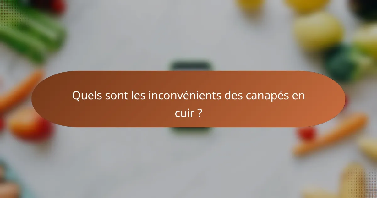 Quels sont les inconvénients des canapés en cuir ?