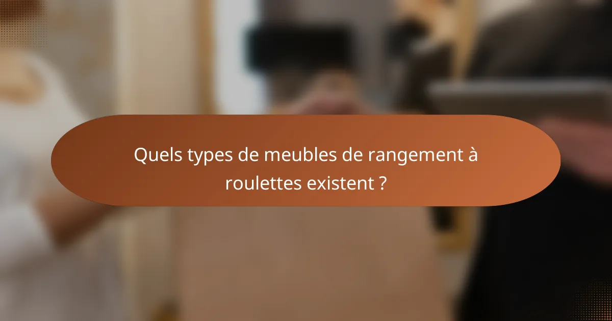 Quels types de meubles de rangement à roulettes existent ?
